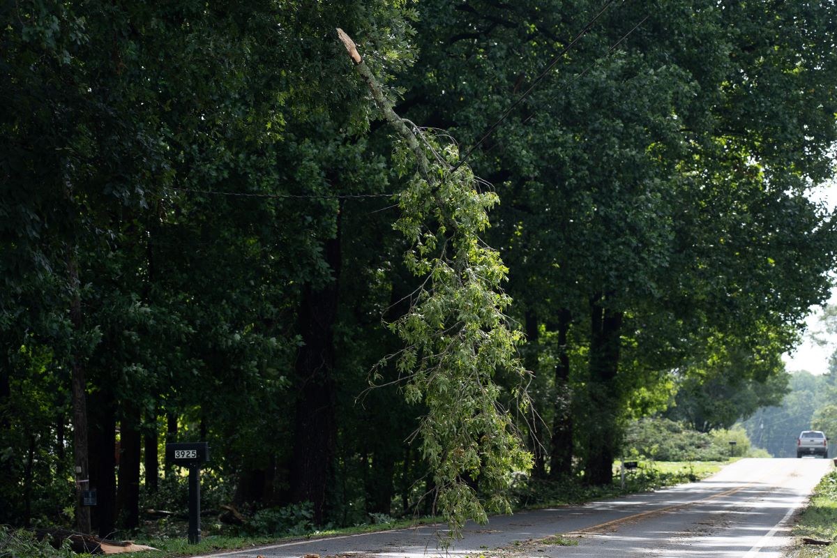 storm damage web1.jpg